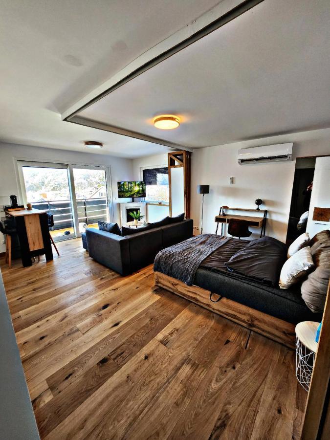 Lions Place Premium Apartments Executive Luxus Penthouse Inklusive Spa Heidenheim Exterior foto