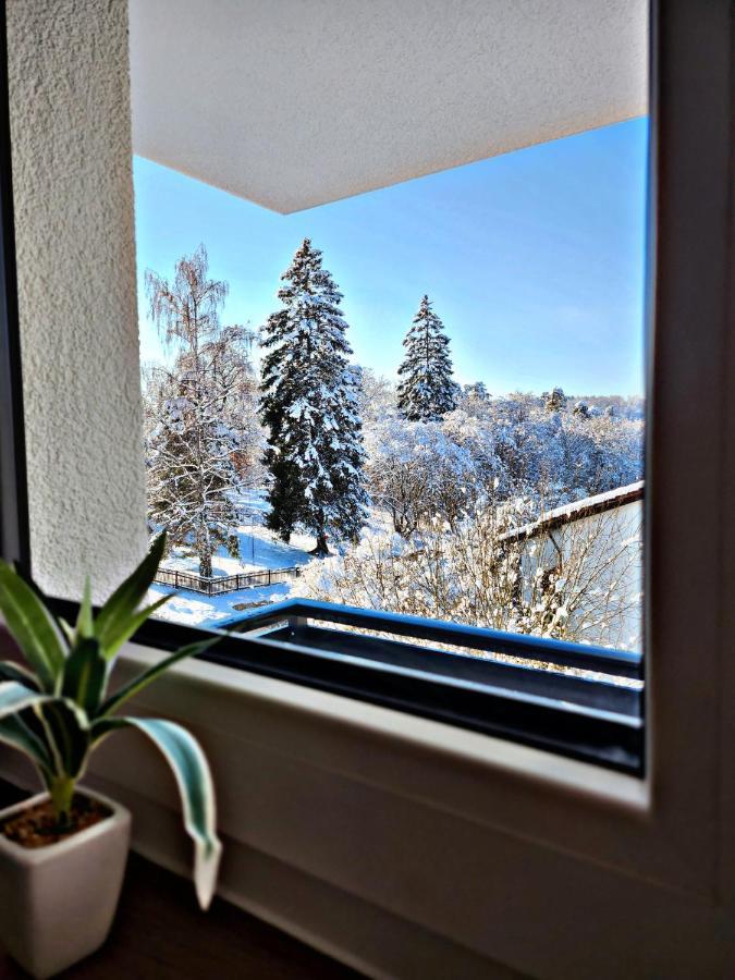 Lions Place Premium Apartments Executive Luxus Penthouse Inklusive Spa Heidenheim Exterior foto