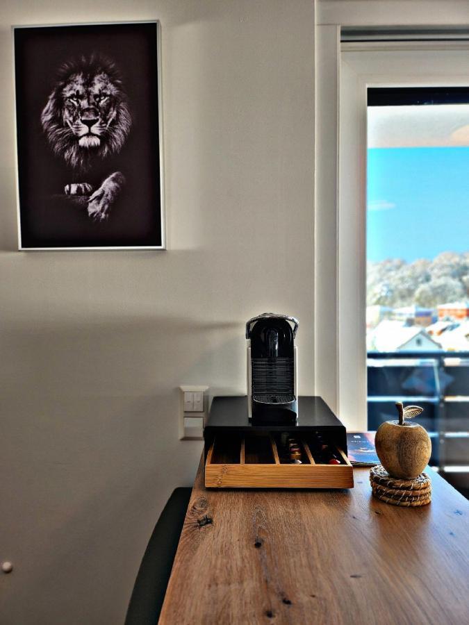 Lions Place Premium Apartments Executive Luxus Penthouse Inklusive Spa Heidenheim Exterior foto