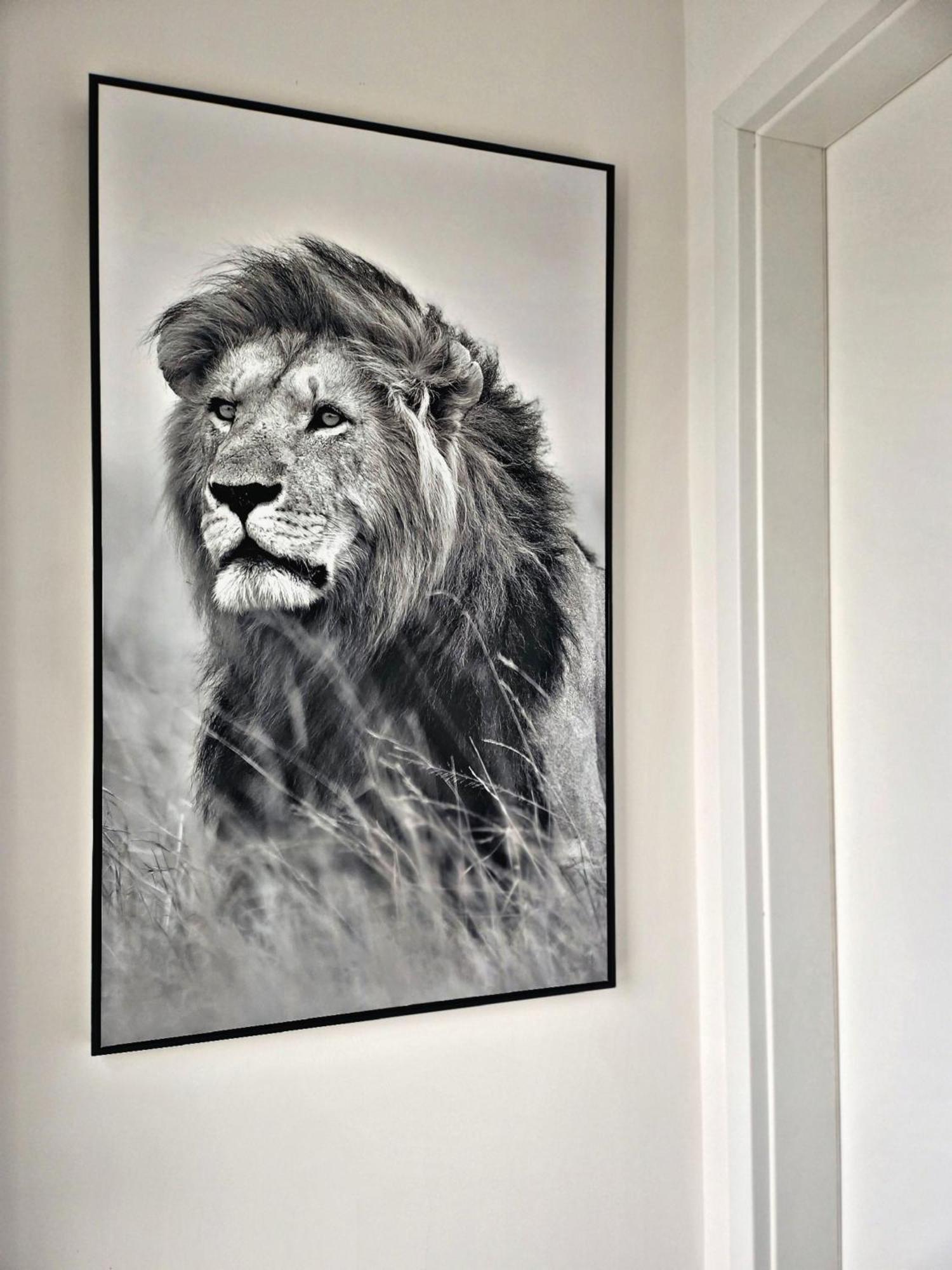 Lions Place Premium Apartments Executive Luxus Penthouse Inklusive Spa Heidenheim Exterior foto