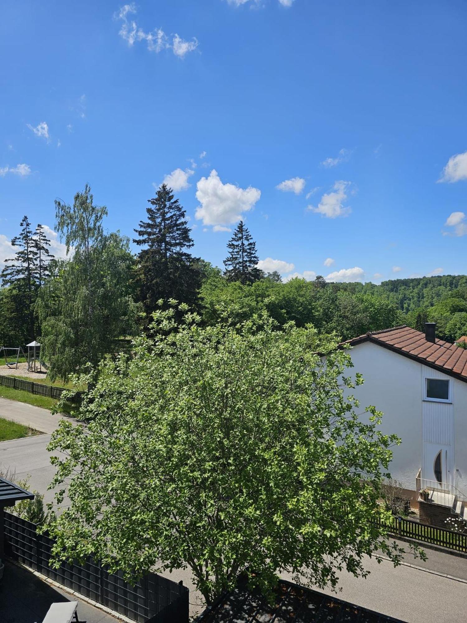 Lions Place Premium Apartments Executive Luxus Penthouse Inklusive Spa Heidenheim Exterior foto